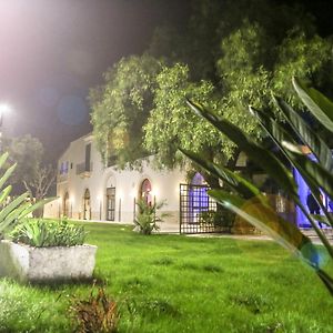 La Villa Del Conte
